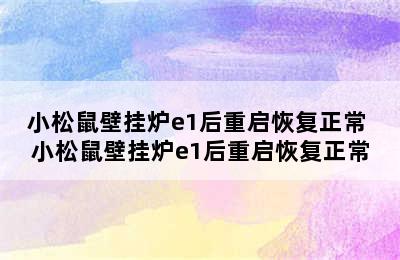 小松鼠壁挂炉e1后重启恢复正常 小松鼠壁挂炉e1后重启恢复正常